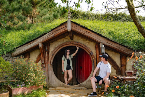 Northern Kiwi Tour (12 days)