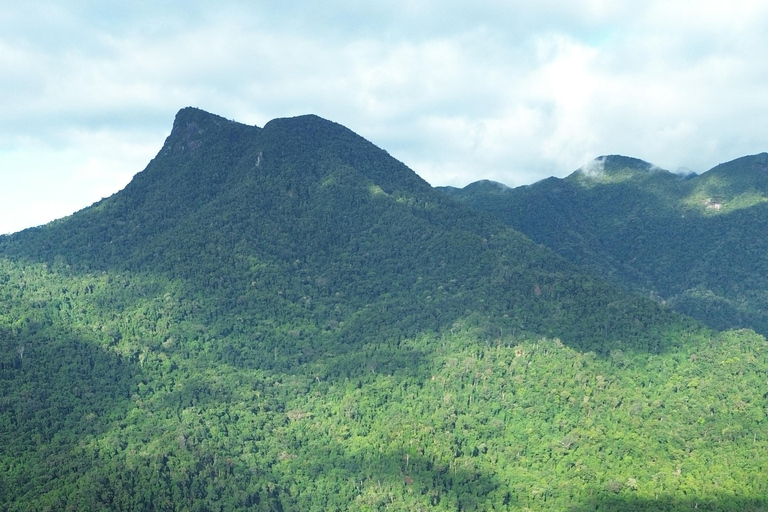 Private Great Barrier Reef and Mossman Gorge Tour