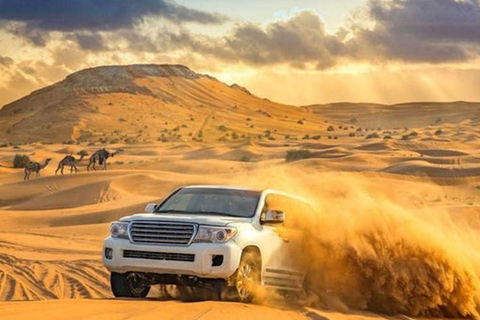 Doha Guided Safari Tour for Families with Traditional Meal