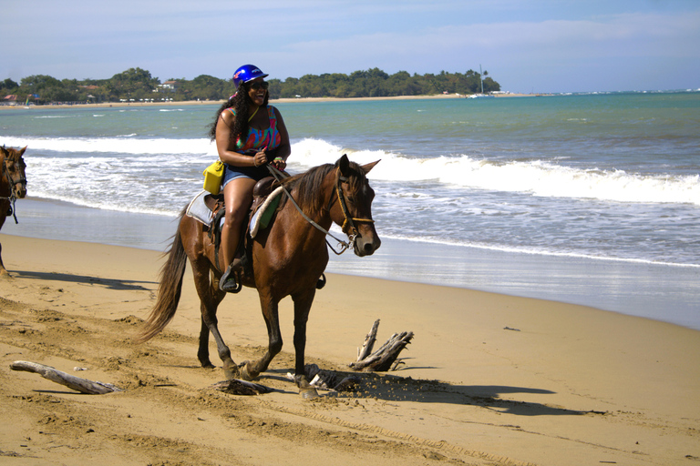 Puerto Plata: Beach Horseback Ride with Swim and Drinks Puerto Plata: Beach Horseback Ride with Swim and Drinks