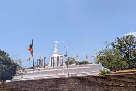 Sigiriya: Anuradhapura Guided Day Trip