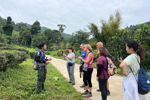 Chiang Rai: Jungle Adventure-Group Trekking & Bamboo Cooking
