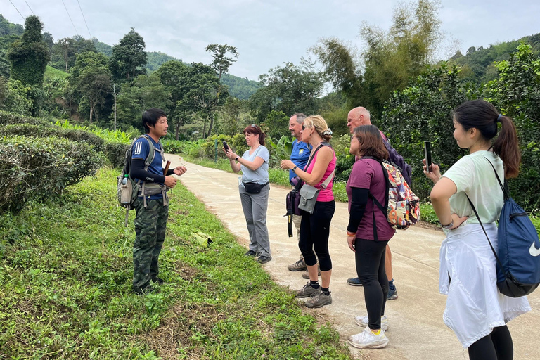 Chiang Rai: Jungle Adventure-Group Trekking & Bamboo Cooking