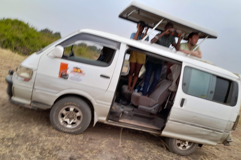 Circuit de 10 jours dans le parc national de Murhison Kibale Queen Elizabeth et le parc national de Bwindi