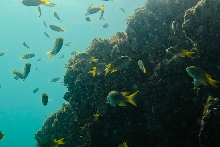 DAR ES SALAAM: MBUDYA EILAND SNORKELTOUR &amp; STRANDVIBES