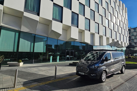 Dublín : Visita turística privada de la ciudad de Dublín