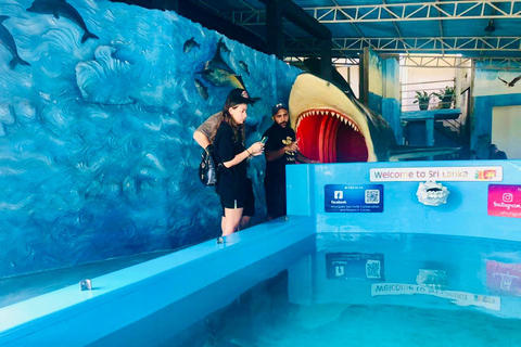 Da Colombo: tour privato all-inclusive di un giorno a Galle e MirissaGalle: tour privato di un giorno lungo la costa meridionale con snorkeling