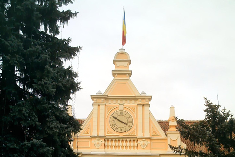 Bucharest Private: Peleș Castle, Bran Castle, Brașov Tour