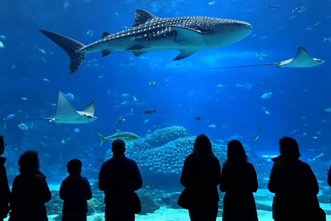 Sydney Aquarium: Sharks, Dugongs & Ocean Secrets