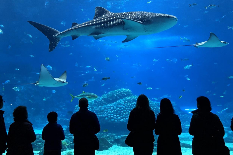 Sydney Aquarium: Sharks, Dugongs & Ocean Secrets