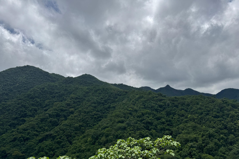 Addis Abeba: Tagestour in den Menagesha Suba Forest mit Guide