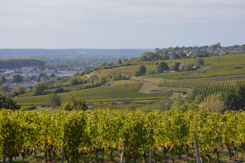 Chinon : Tour di scoperta e degustazione di viniVisita scoperta in francese