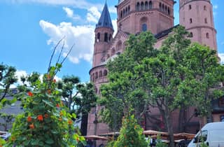 Unser goldisch Meenz – Altstadt, Mainzgefühl & 3 regionale Weine