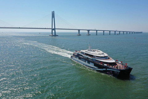 Zhuhai: Hong Kong-Zhuhai-Macao Bridge & Macau Island Cruise Macau Island Cruise A Route – Standard Cruise