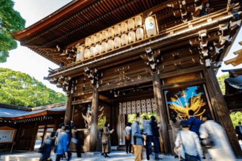 Tokyo Pop Culture & Tradition Tour: Meiji Shrine to Harajuku