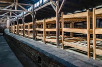 Auschwitz-Birkenau Skip-the-line Guided Tour - Housity