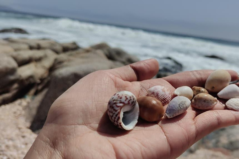 Salalah: Private 5-Day Dhofar Highlights Tour with Guide