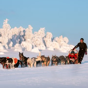 Bakvattnet: Husky-Excklusivtour Ansättenfjäll