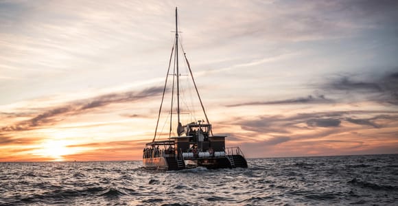 Cádiz: Sunset Catamaran Cruise with Historic Landmark Views