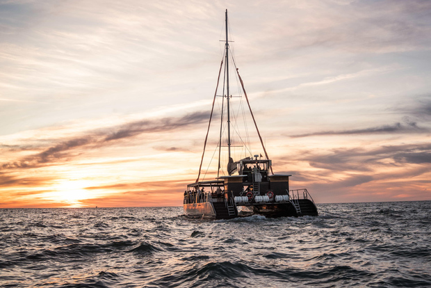Cádiz: cruzeiro de catamarã ao pôr do sol