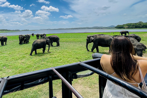 Sigiriya: Minneriya Premium Private Guided Elephant Safari