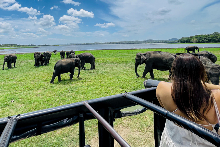 Sigiriya: Minneriya Premium Private Guided Elephant Safari