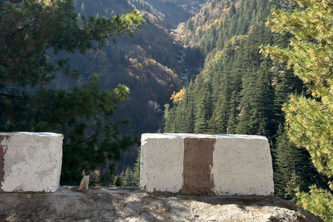 India: Customized Travel Packages with Ganga Darshan Travels