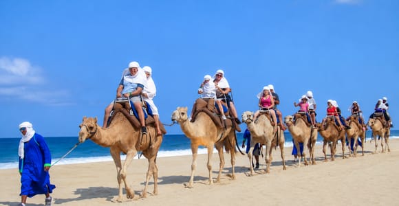 Los Cabos: Pacific Coast Camel Ride, Buffet & Sunset