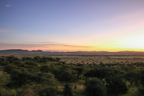 6-Day African Safari Adventure Wild Horizons
