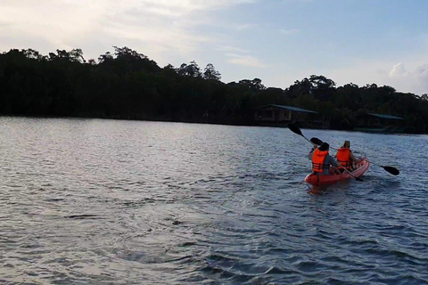 Bentota/Beruwala: Galle Fort, Koggala Lake & Kayaking Tour