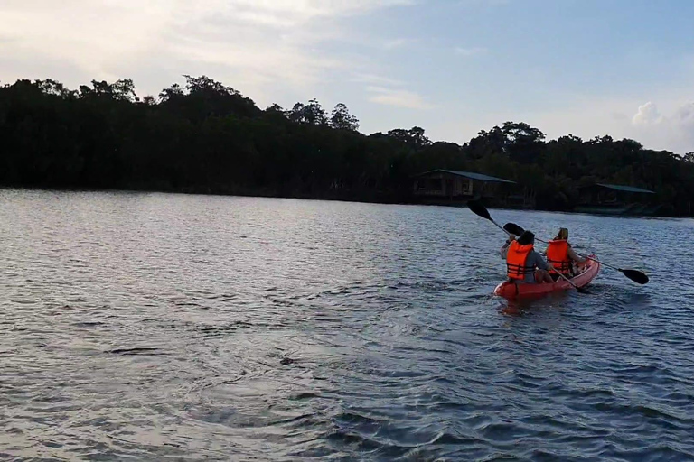 Bentota/Beruwala: Galle Fort, Koggala Lake & Kayaking Tour