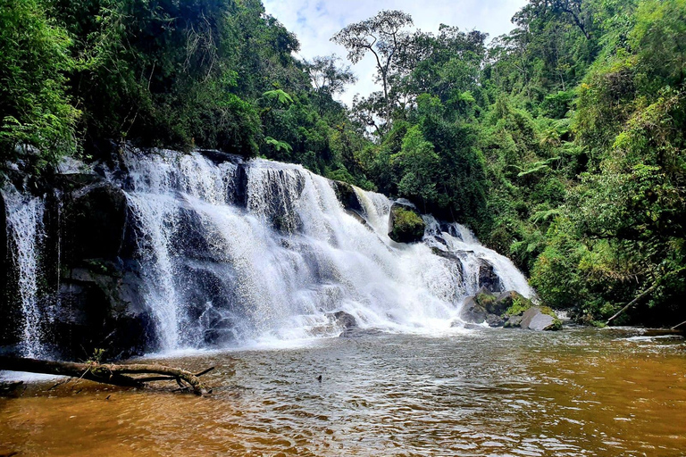 CAMINHO DO OURO - Geführte Tour durch den Atlantischen Wald, Wasserfälle und Geschichten.