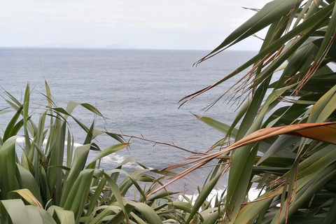 São Jorge: Fajã Camping and Hiking Tour