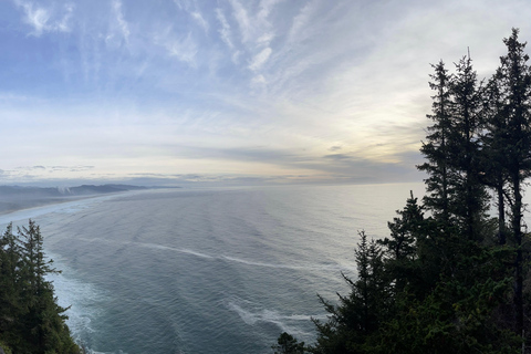 جولة مشاهدة حيتان إلى خليج ديبو وشاطئ كانون وتيلاموك