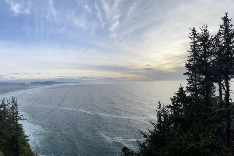 جولة مشاهدة حيتان إلى خليج ديبو وشاطئ كانون وتيلاموك