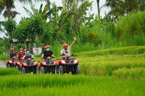 Ubud: Best of ATV Quad Bike Adventure Tandem & Single Ride with private transfer