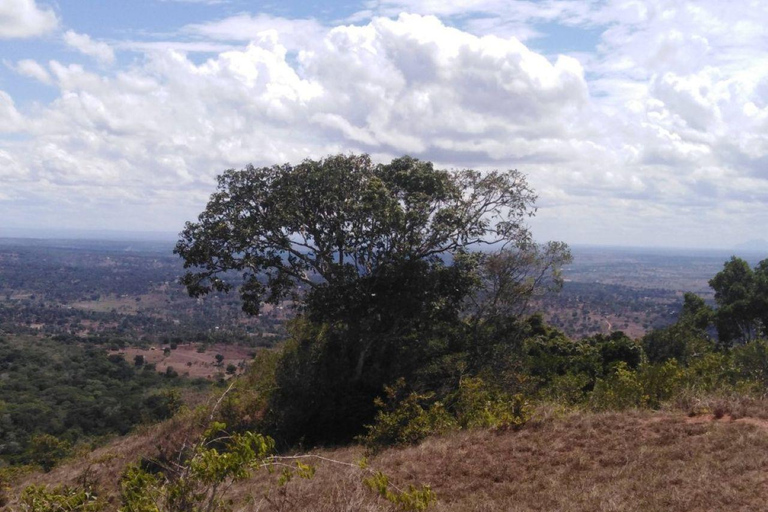 Kwale: Private day tour to Shimba Hills with Picnic lunch