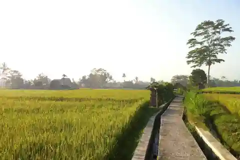Bali: Tour privato personalizzabile con guida locale