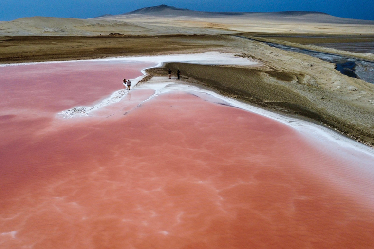 Premium Trekking in Paracas National Reserve Premium Trekking in the Paracas National Reserve