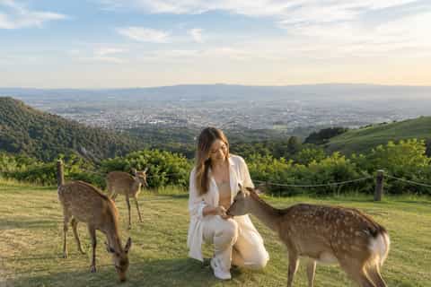 From Osaka: Nara Temples, Museum & Wakakusa Private Trip - Image 3