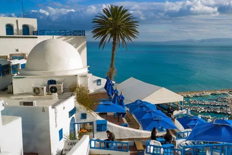 From Hammamet, Sousse: Bardo, Medina, Carthage, Sidi BouSaid