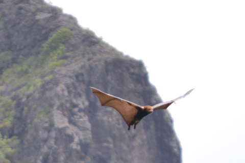 Mauritius nationalpark: Upptäck ön som den en gång var