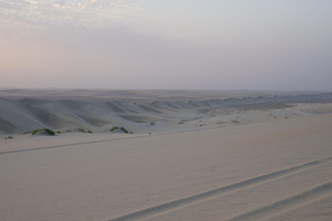Doha: Halbtägige Wüstensafari (4 Stunden)