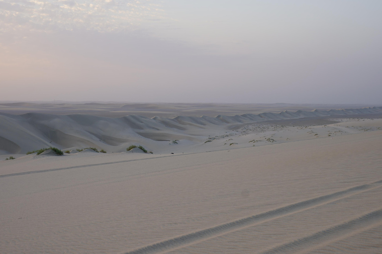 Doha: Halbtägige Wüstensafari (4 Stunden)