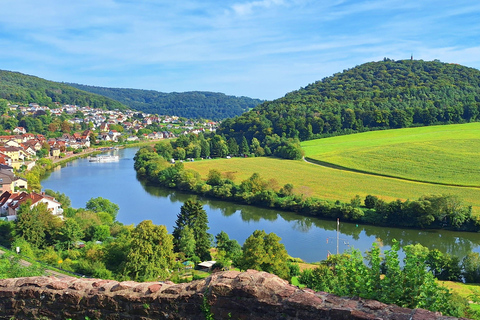 Heidelberg: Neckar River, Cave, Odenwald – Active Highlights Discovery Tour