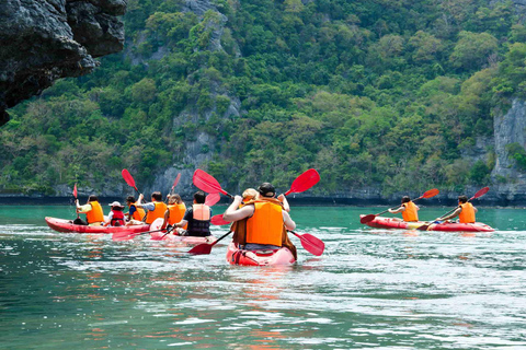 Krabi: Emerald Pool & Hot Spring Waterfall with Kayaking
