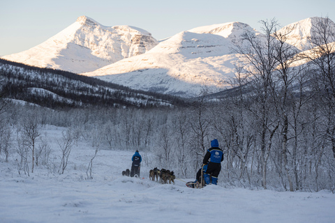 From Tromsø: Advanced Dog Sledding Tour at Camp TamokAdvanced Dog Sledding Tour: Daytime Departure