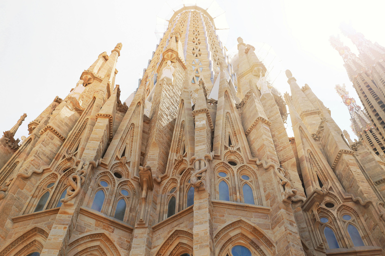 Barcelone : visite à pied de la Sagrada Família et du quartier gothiqueEnglish Guide