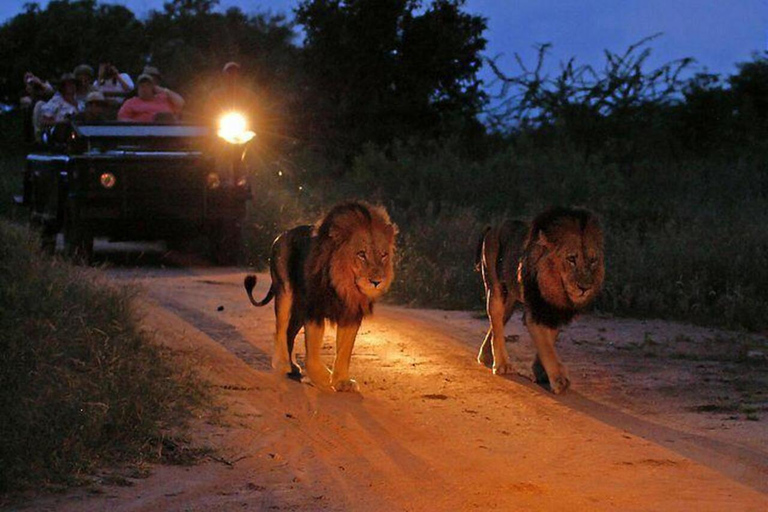 Victoria watervallen: Nacht Game Drive met 3-gangen Bush Dinner