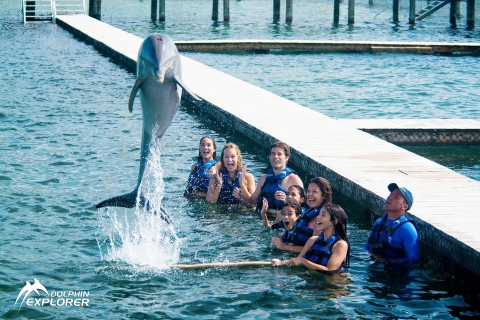 Nada con delfines en Punta CanaExplorador de Delfines Punta Cana